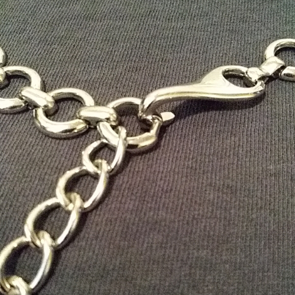 Chain Belt - Picture 2 of 5